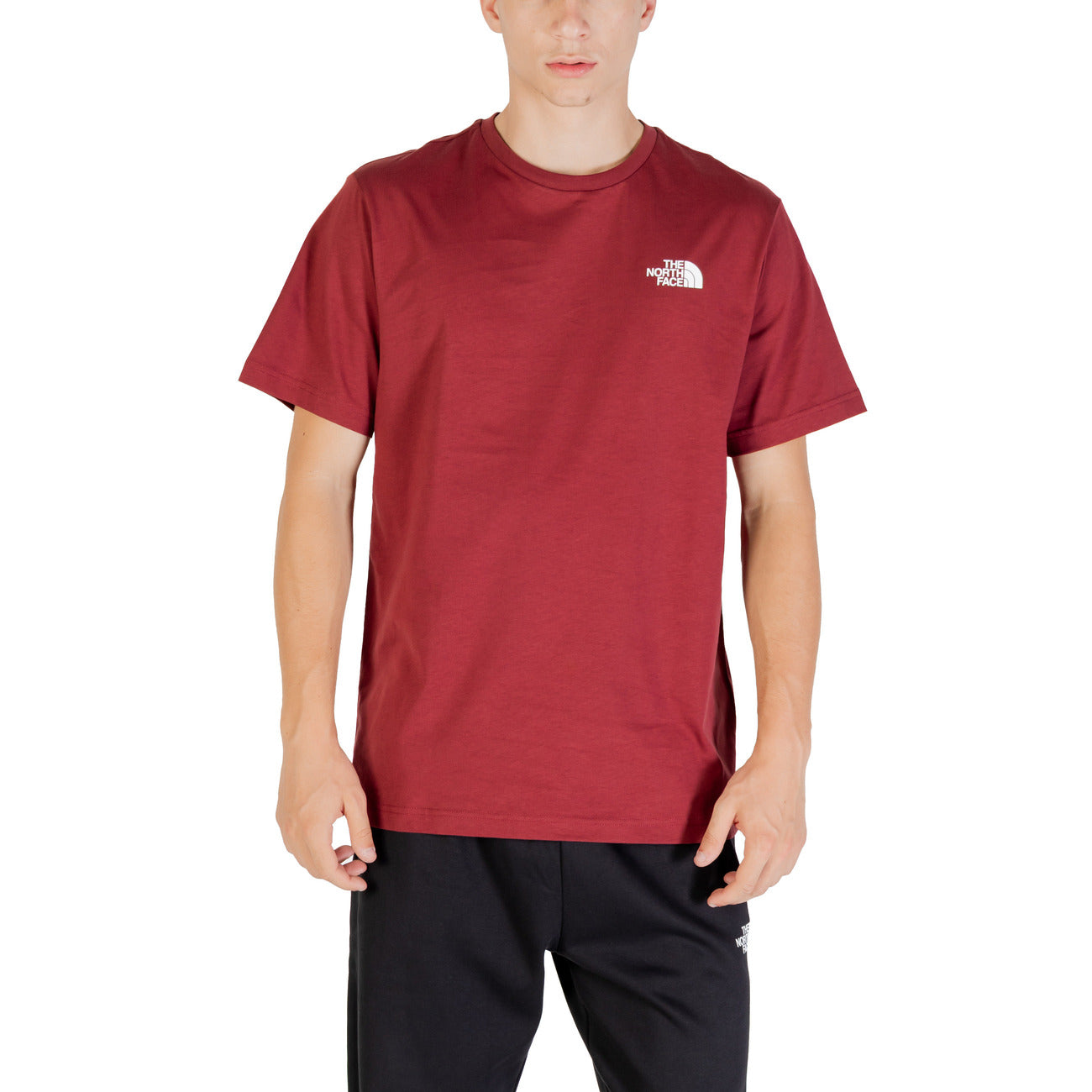 The North Face T-shirt Heren