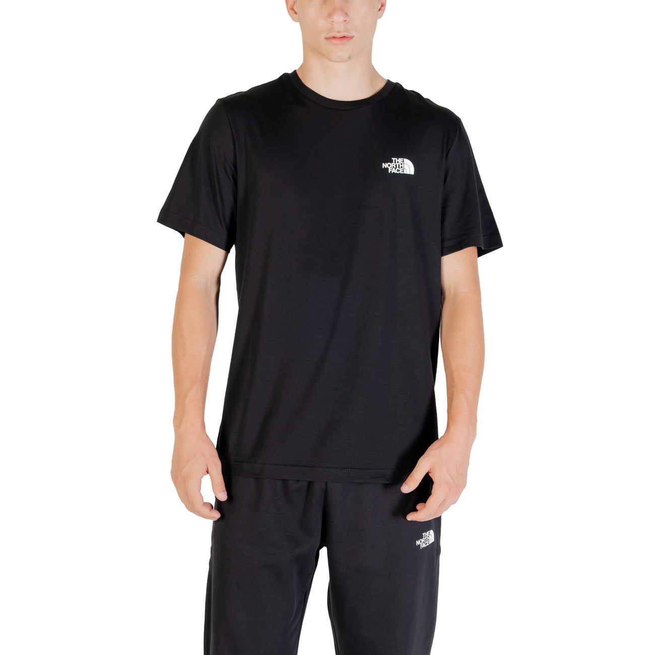 The North Face T-shirt Heren