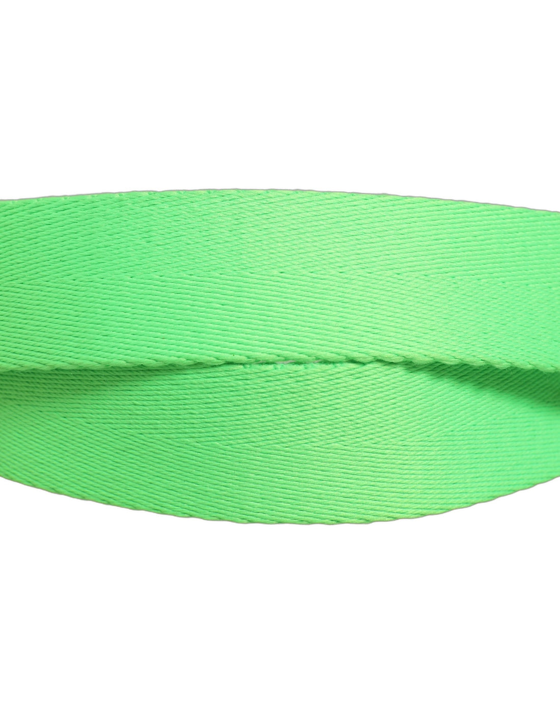 Dolce & Gabbana Green Canvas Logo Plaque Metal Buckle Belt