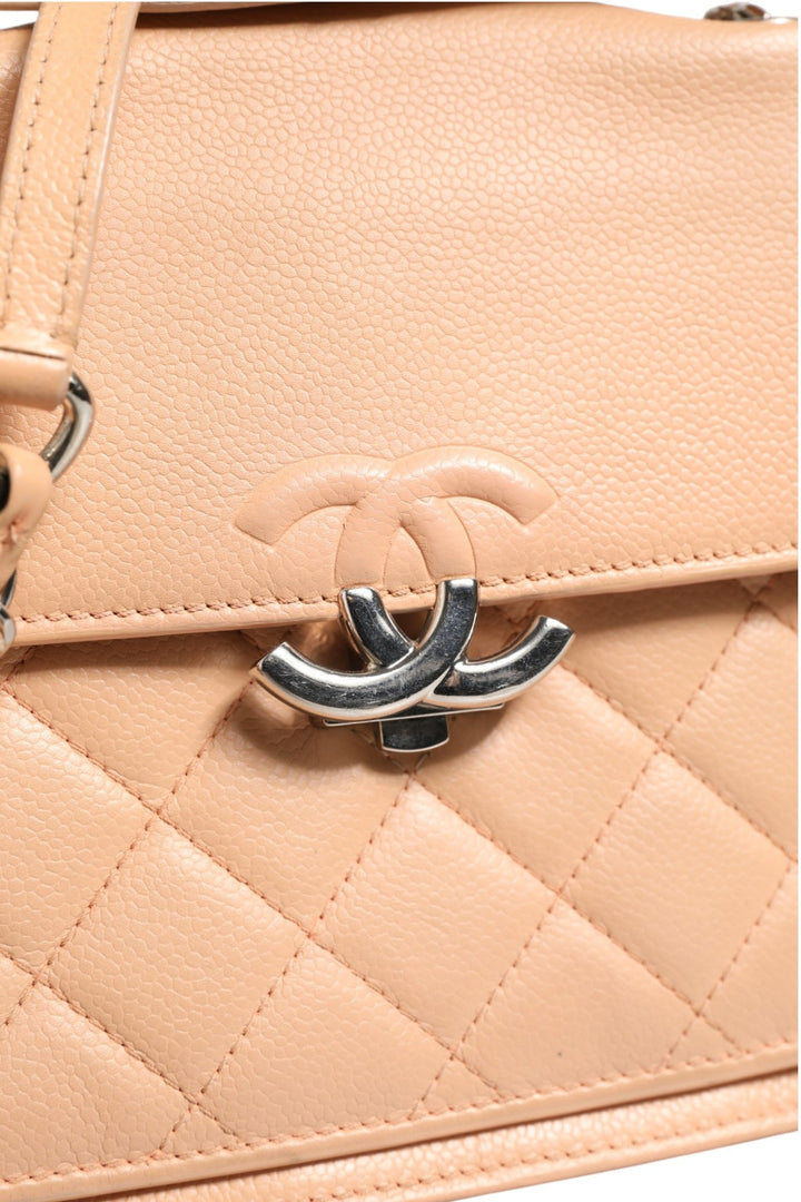 Chanel Goatskin Quilted Small CC Box Flap Bag - RIMODA