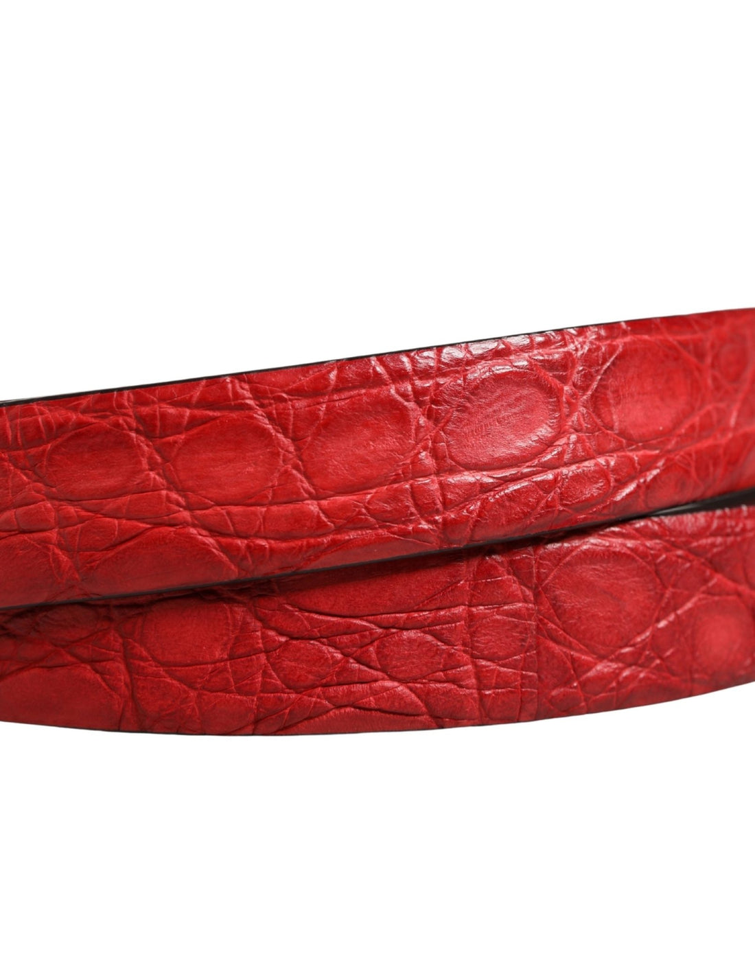 Dolce & Gabbana Men Red Exotic Leather Metal Buckle Belt - RIMODA