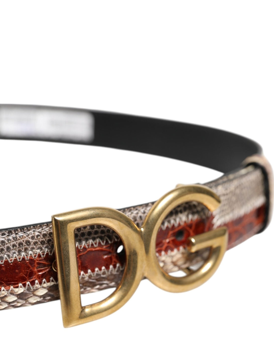 Dolce & Gabbana Multicolor Exotic Leather DG Logo Buckle Belt - RIMODA
