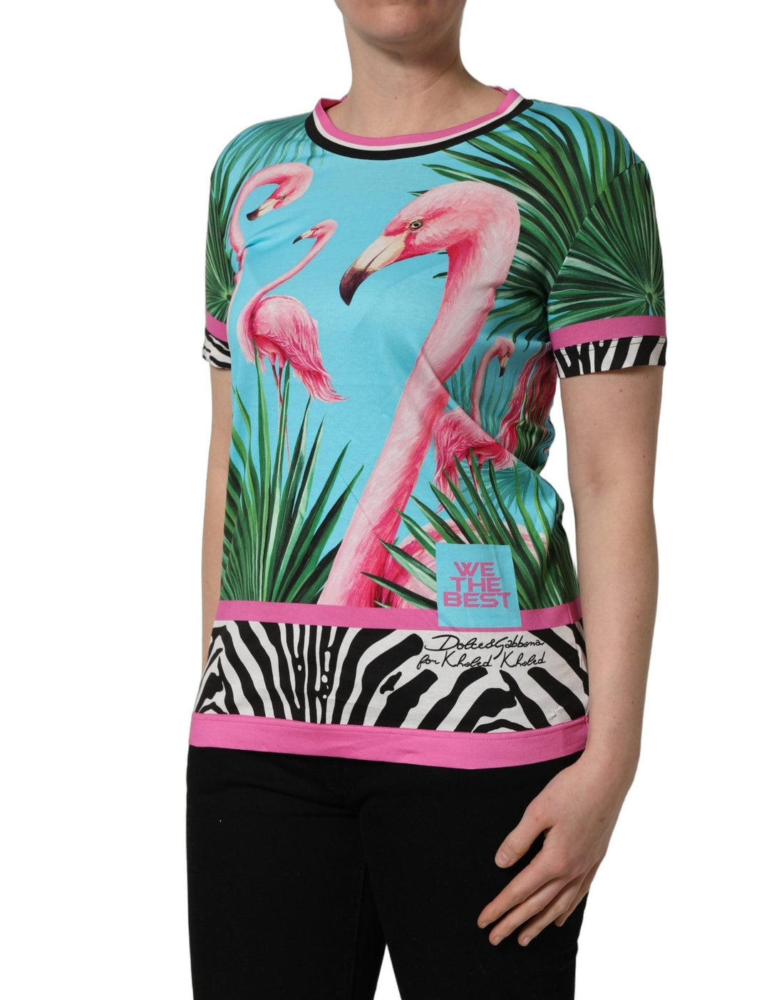 Dolce & Gabbana Multicolor Flamingo ZebraStriped Trim T-shirt - RIMODA