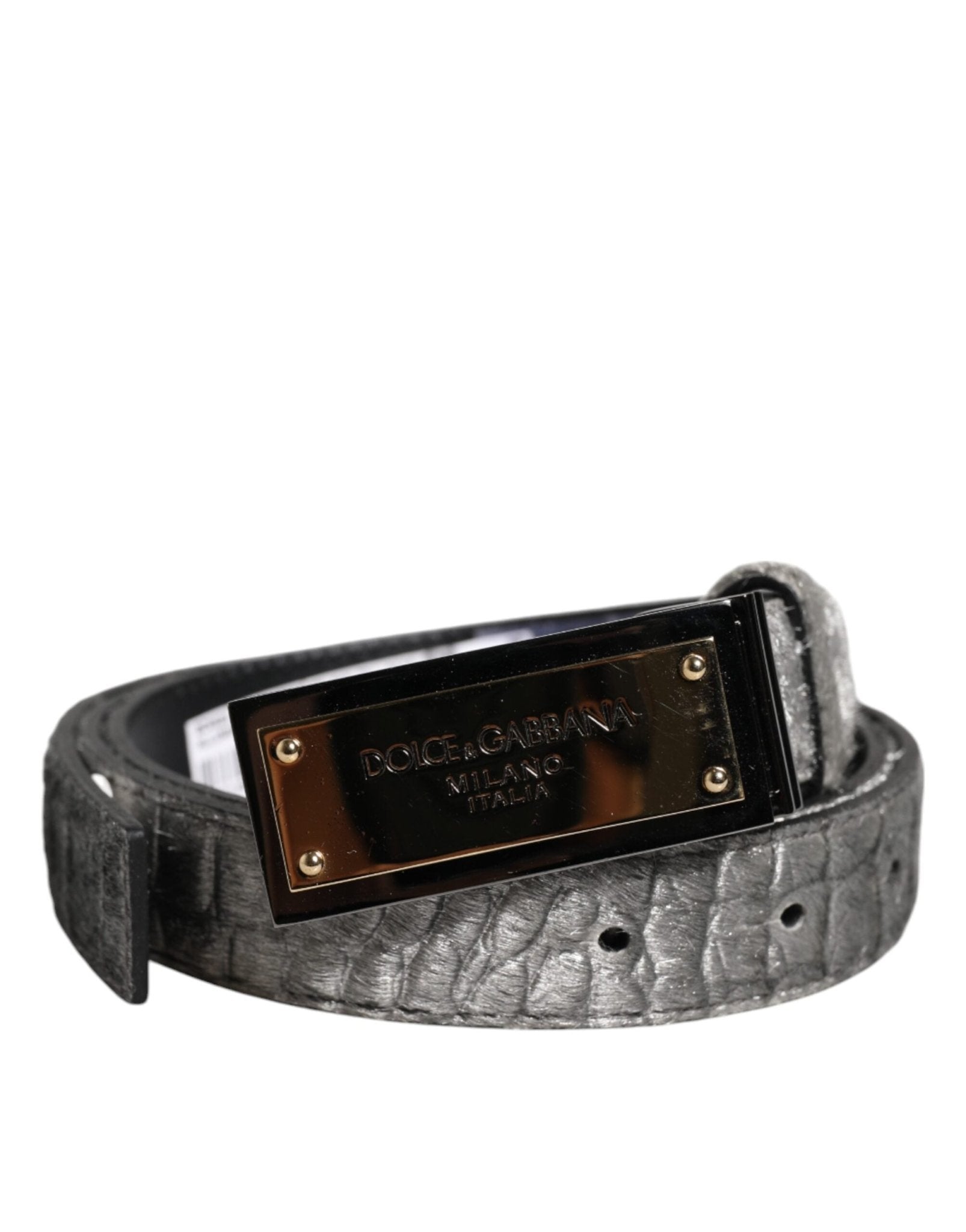 Dolce & Gabbana Silver Classic Gold Logo Plaque Buckle Belt - RIMODA