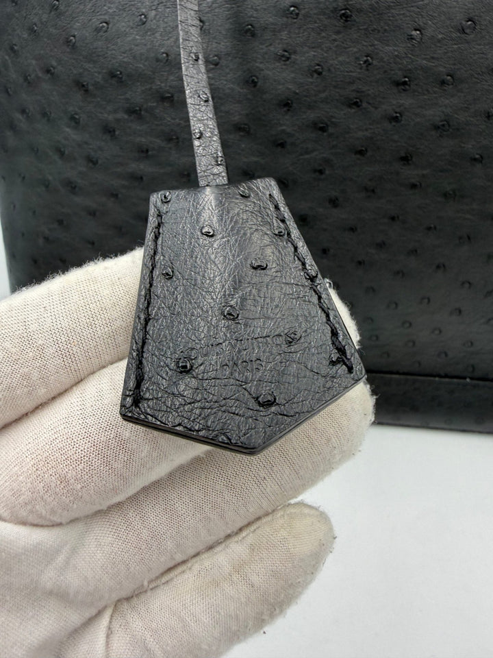 Louis Vuitton LOUIS VUITTON Alma GM in Ostrich Leather Handbag - RIMODA