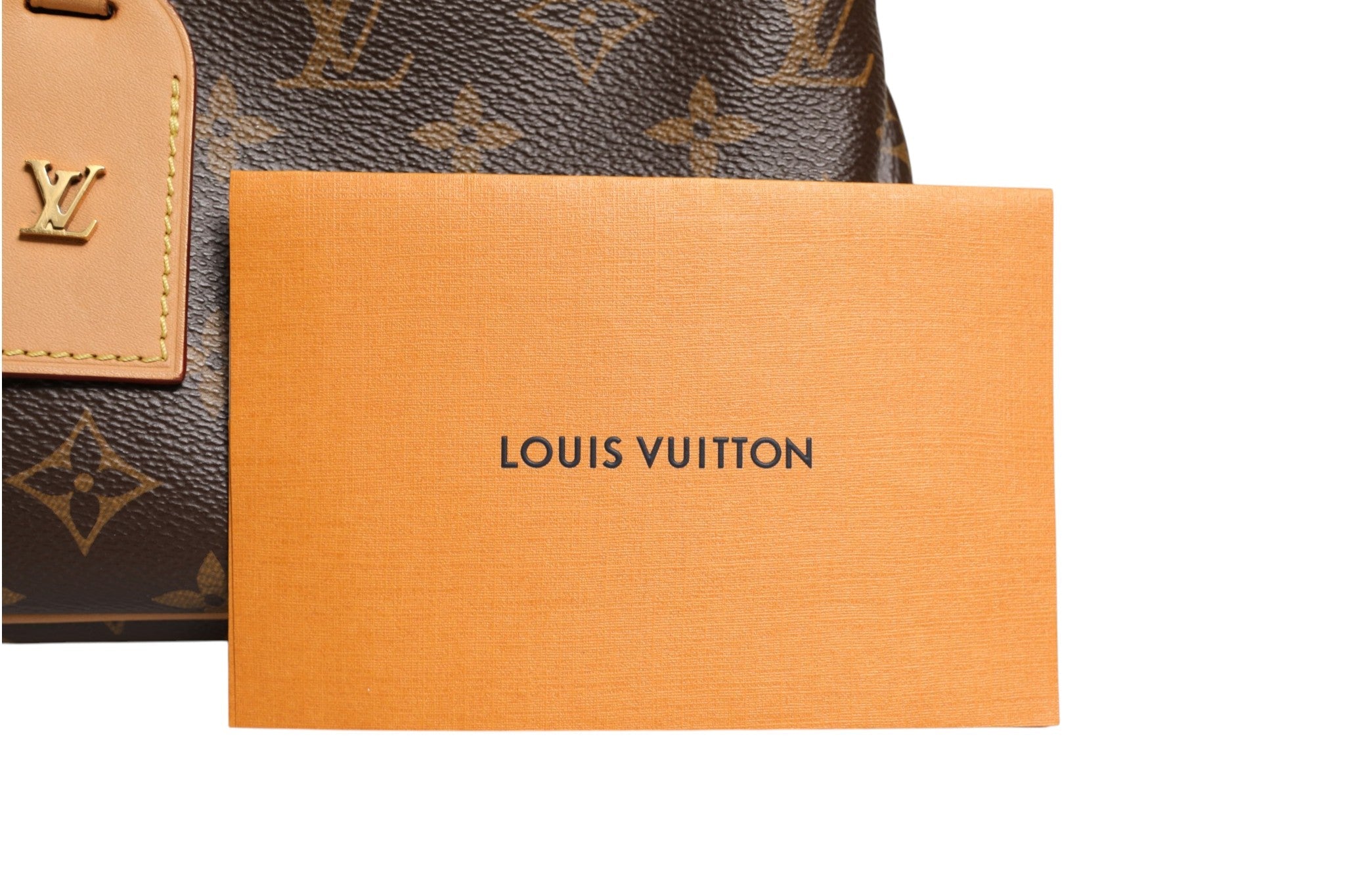 Louis Vuitton Monogram Canvas Odeon PM Crossbody Bag - RIMODA