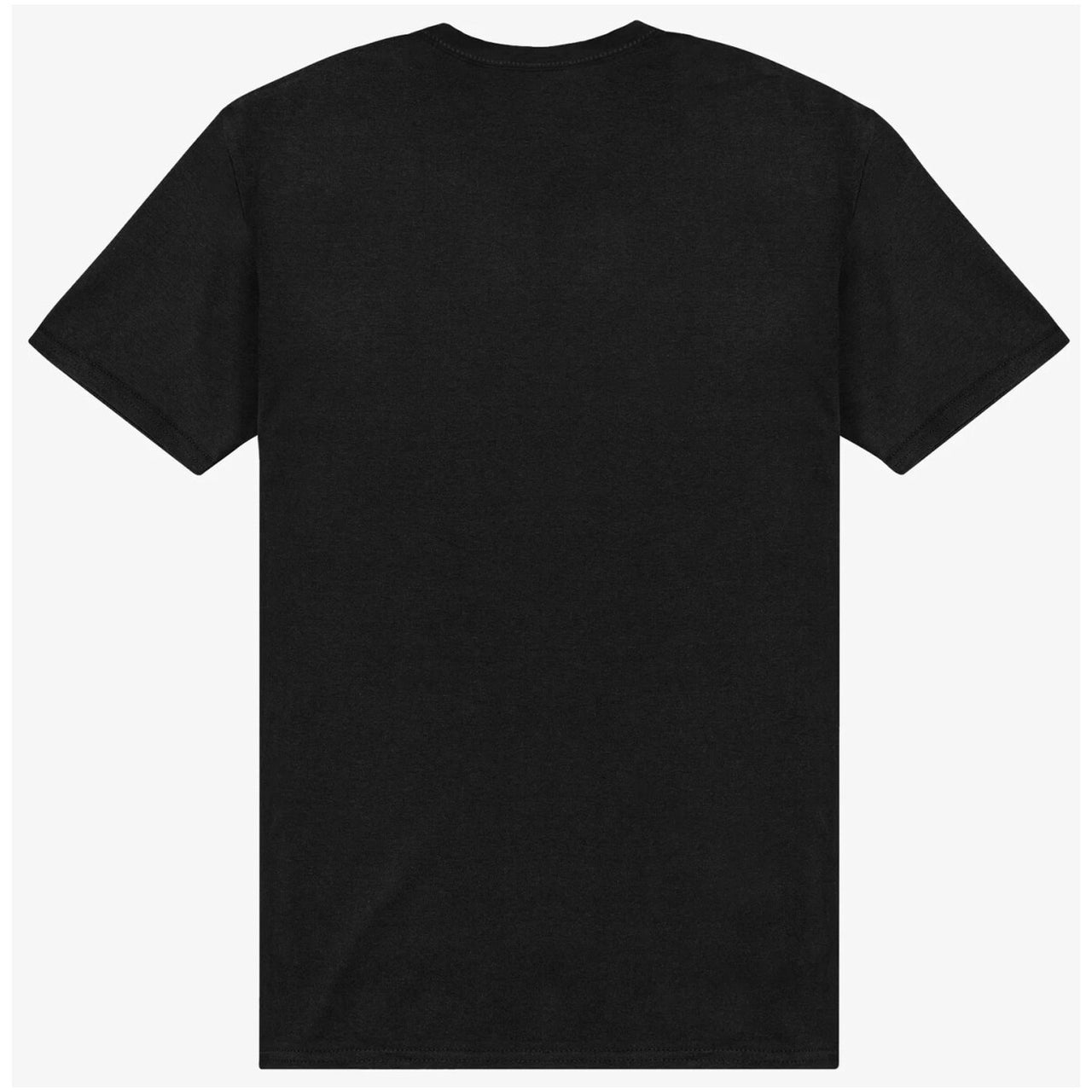 The North Face T-shirt Heren